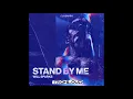 Will Sparks - Stand By Me (TronLoud Edit)