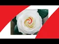 Download Lagu LOGO HUT RI ke 79 \