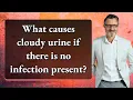 Download Lagu What causes cloudy urine if there is no infection present?