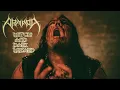 Download Lagu ARMADA - WITCH AND DARK WIZARD (OFFICIAL VIDEO) - 2022