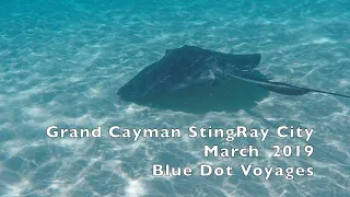 Sailing PILAR experiences Grand Cayman StingRay City | EP23