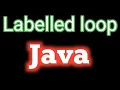 Labelled loop in java with notes