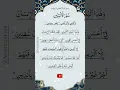 Download Lagu SURAH AT-TIN (سورة التين) - Egzon Ibrahimi #egzonibrahimi #surahattin
