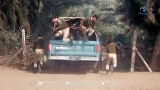 مشهد اقتحام فيلا رجل الدوله دندنها
