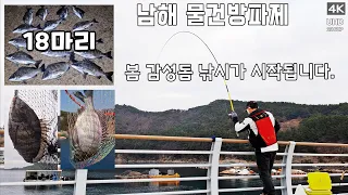 남해 물건방파제,  2026-03-05(목요일), 감성돔 낚시가 시작됩니다. 물건항 낚싯배 유성호: 010-2587-0583 #남해 #남해군 #물건방파제 #물건항 #감성돔낚시 썸네일