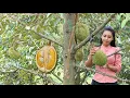 Download Lagu Durian fruit in my homeland and make Durian dessert for my family