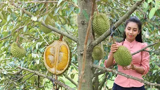 Download Durian fruit in my homeland and make Durian dessert for my family MP3