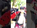 Download Lagu cvp entul jedak jeduk viral