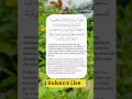 Download Lagu Dua For Forgiveness | Sayyidul Istighfar | Prophet Muhammad ﷺ #islamicreminder #quran #dua #whosin