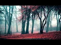 Download Lagu Calum Scott - Dancing On My Own (slowed+Reverb)
