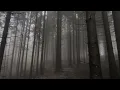 Like a Prayer (Choir Version of “Deadpool & Wolverine”) &  Carol of the Bells - Extended | Sanctura