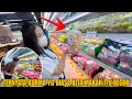 Download Lagu NEMENIN SHENY BELI BUAH KESUKAAN 
