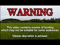 Download Lagu ruwak ruwak hunting (whitebreasted waterhen)