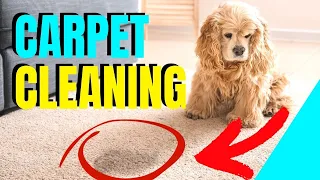 CORRECTING BROWN SPOTS CARPET CLEANING WICKING CARPET RECURRING SPOTS FROM CARPET CLEANING