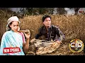 Download Lagu खुनी को पकड़ने के लिए PURVI और ABHIJEET भेस बदलकर पहुचे गाँव के खेत में! || CID | Crime | Latest EP