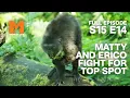 We Need The Vet Season 15 Episode 14 Full Episode Monkey Life