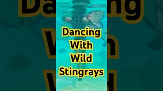 Dancing with stingrays