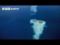 Download Lagu The Mysterious Islands of the South Pacific | BBC Earth