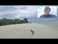 Download Lagu Island hopping at Helen reef..🏝️🏝️🌄🌄#helenisland#helenreef#islandhopping