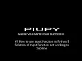 How to use input function in Python Solution of input function not working in Sublime