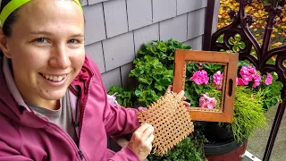 Giving our boat a Facelift [Adventure #190]