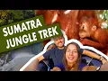 Lagu 3 DAY JUNGLE TREK NORTH SUMATRA INDONESIA RAINFOREST to see  MALE SUMATRAN ORANGUTAN | Bukit Lawang
