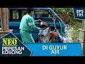 Download Lagu Kasian Mat Metal Diguyur Air – Neo Pepesan Kosong Eps 195 Part 1