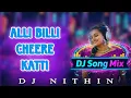 Lagu ALLI BILLI CHEERE KATTI | DJ NITHIN | MOUNIKA DIMPLE #folksong