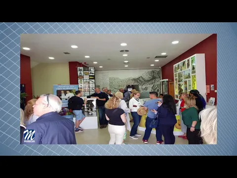 YouTube player