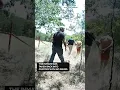 shows K 9 tracking escaped inmate to river in Erath County