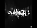 Shanti Dope - Normalan (Official Lyric Video)