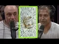 Everyone Can Be Rich Joe Rogan and Naval Ravikant