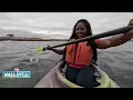 Mass Appeal North Shore Adventures News 7 Boston Sunfish and Seals