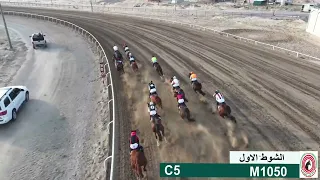 مرسال   اسطبل الغريبان دندنها