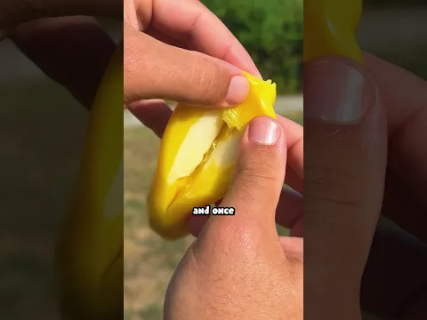 what *GIGANTIC* Banana Peelerz look like