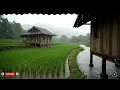 Download Lagu Heal the Soul to Sleep Soundly with Torrential Rain \u0026 Thunder Reverberating on a Rickety Tin Roof
