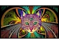 Download Lagu Best Rave/Party Songs Mix #2: PSY TRANCE, MINIMAL \u0026 HEAVY BASS (songs in description)