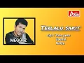 Download Lagu MEGGI Z - TERLALU SAKIT [LYIRIC CD AUDIO]