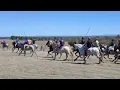 Almklausi - Senorita (Torero) (European Encierro Clip)