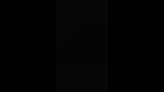 الاسترالي نافش ريشه تعرف علي سبب نفش الريش وأعراض البرد عند البادجي 