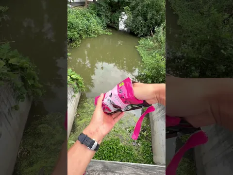 Crap Fish Bait For River Fishing 🎣 #fishing #fishingvideo #shortvideo