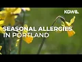 Expert offers advice on fighting seasonal allergies in the Willamette Valley