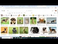 CS50 s Web Programming with Python and JavaScript Project 0 Search