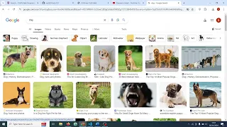 CS50 s Web Programming with Python and JavaScript Project 0 Search