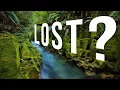 Can Moss Save Your Life