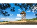 What Is A Fire Lookout A Unique Tiny Home Zillow