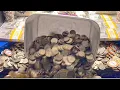 Download Lagu I Dropped $40,000,000 to Win a BASKET of QUARTERS on a High-Limit Coin Pusher