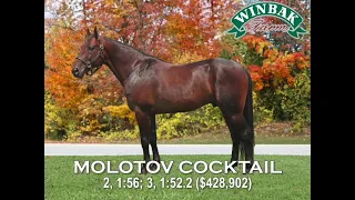 HarnessRacing com Show 2026 USTA Annual Meeting
