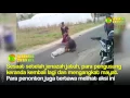 Download Lagu Video Mayat Jatuh dari Keranda saat dipikul menuju tempat penguburan