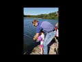 Video di Little Girl Reels in Monster Fish with Mini Pole || ViralHog